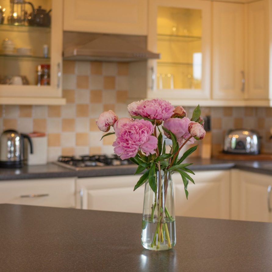 64 Meadow view lodge at The 31 acre site of Mullacott Park is well placed for easily accessing by car some of the most beautiful spots on the North Devon coast