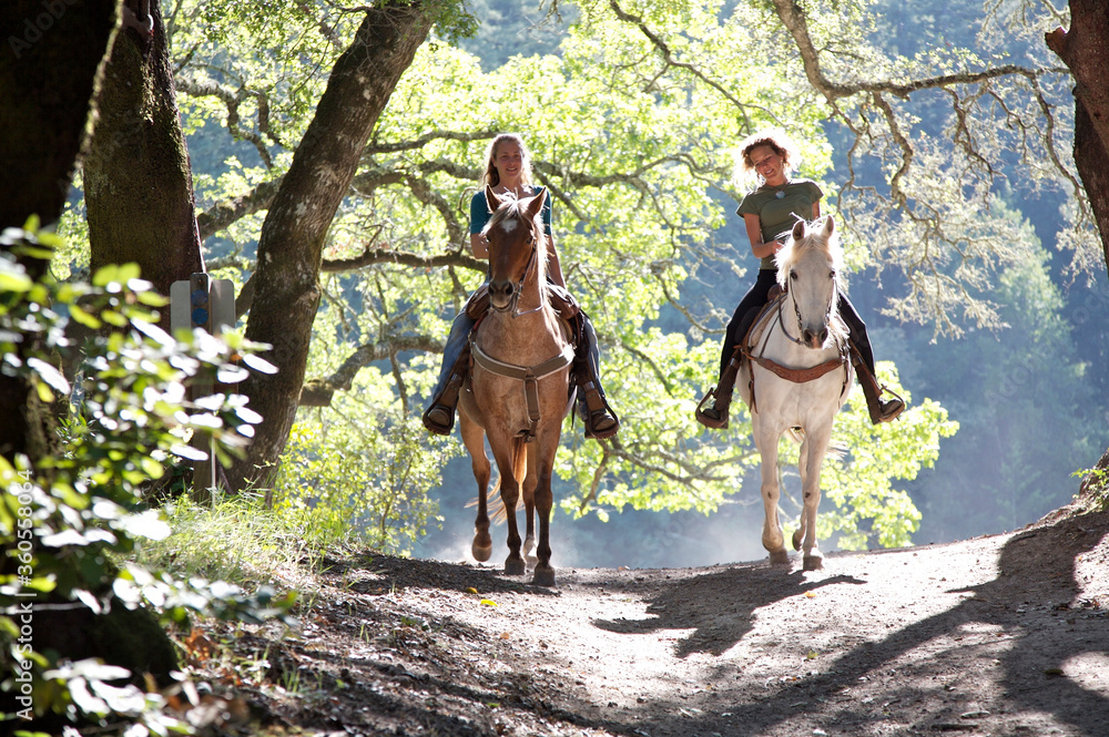 horse riding on holiday in Ilfracombe north devon