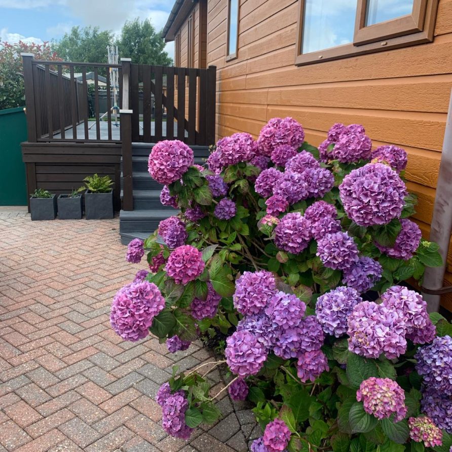 23 Ocean View hot tub, north devon holiday accommodation